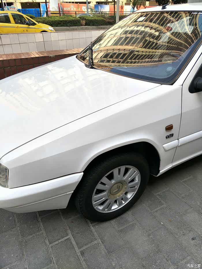 看看我的 小马驹