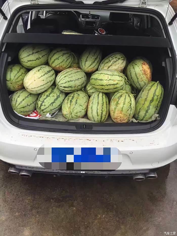 【图】高尔夫拉西瓜!_高尔夫论坛_汽车之家论坛