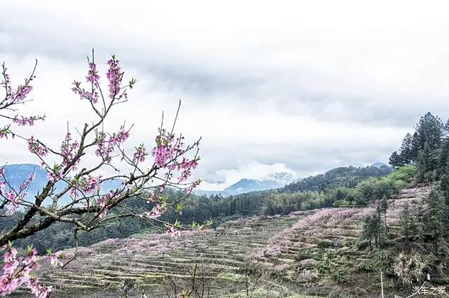 【迎暖春送积分】这个仙境般的十里桃花源就在这座千年古镇