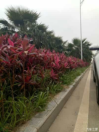 【厦门博越车友汇】忙里偷闲 陪太子爷御驾亲