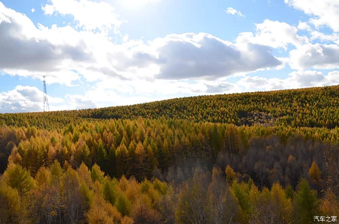 二屌欢乐坝上游照相水平差请海涵