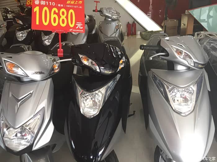 五羊本田 睿御wh110t-6