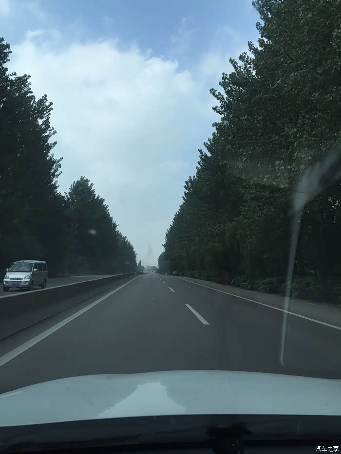 河南的高速,路边的行道树都好漂亮