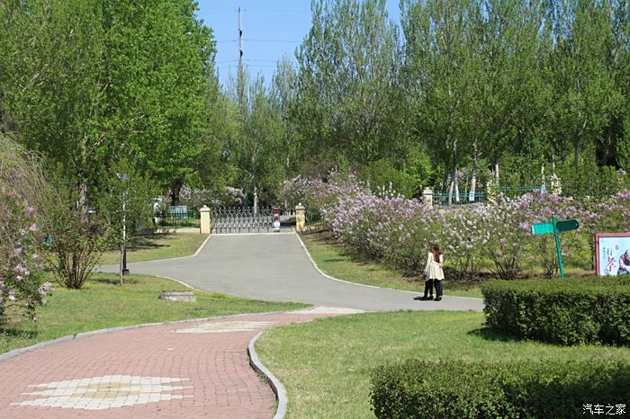 哈尔滨青年公园图片