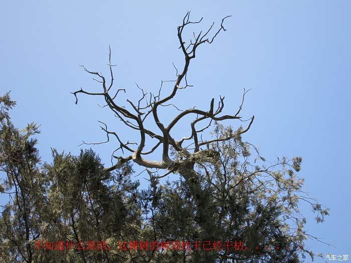 再小的古迹也有伟大的历史自驾游许昌八龙冢