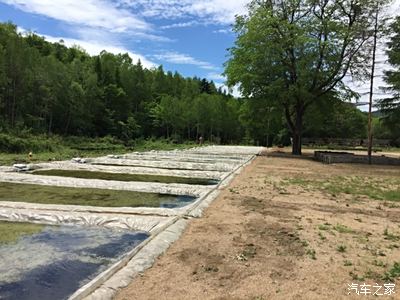 自家在阿城区有一处林蛙养殖基地.老爷子奋斗20年啦.