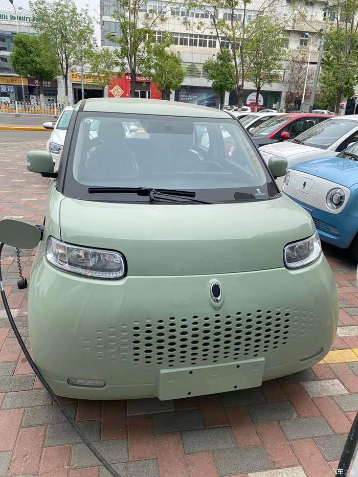 欧拉白猫论坛_汽车之家论坛