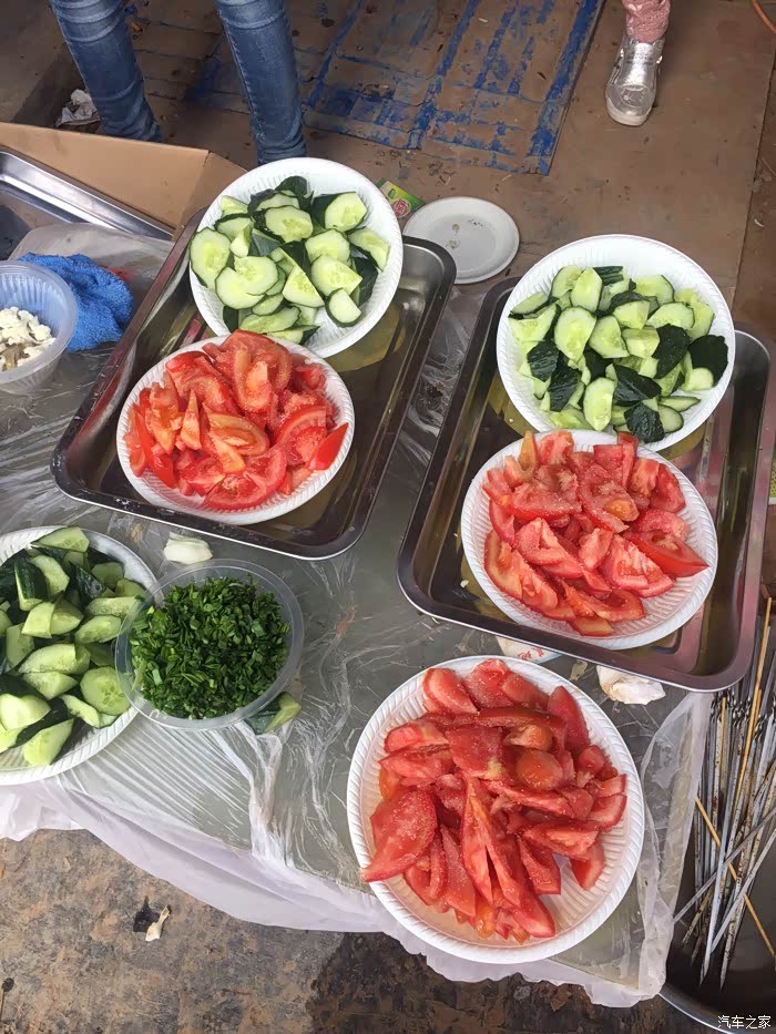 甘肃陇上行长安车友互助会玫瑰园烧烤车队庞大慎入