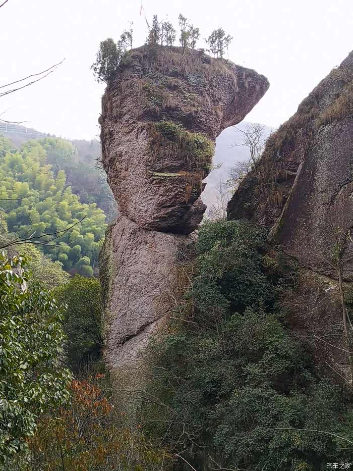 迎暖春送积分自驾一日游新昌倒脱靴