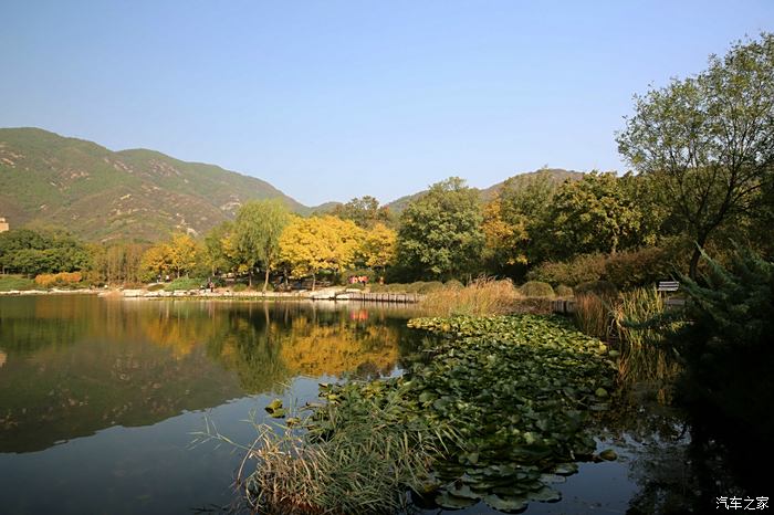 到北京植物園尋找秋天美景