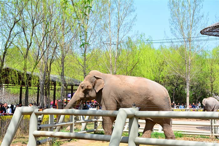吉林市cs75车友会01075车友结伴游盛京沈阳之森林动物园篇