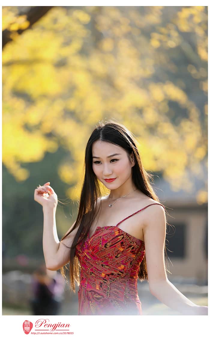 朋见行摄之随州千年银杏美女与古树倾情演绎