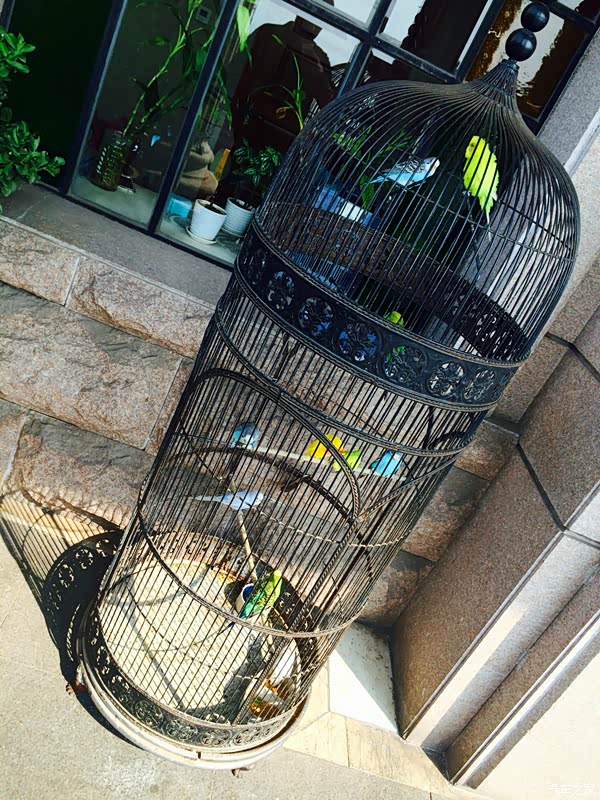 酒店门口落大鸟笼