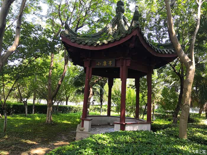 丰富暑假生活带孩子游玩向阳公园