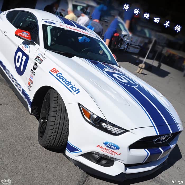 白色野马配蓝色拉花好看的不要不要的