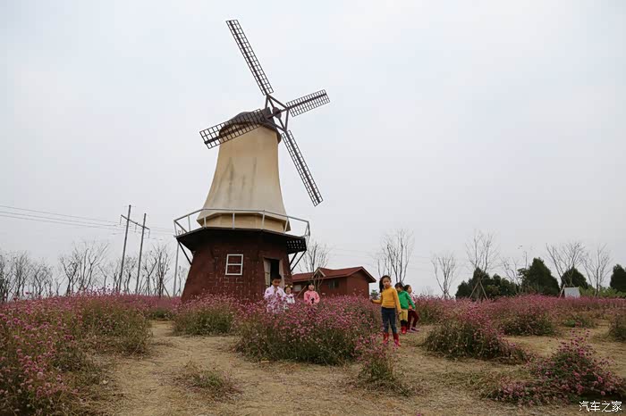 在路上行行摄摄之三十三台芦溪盛世樱花谷
