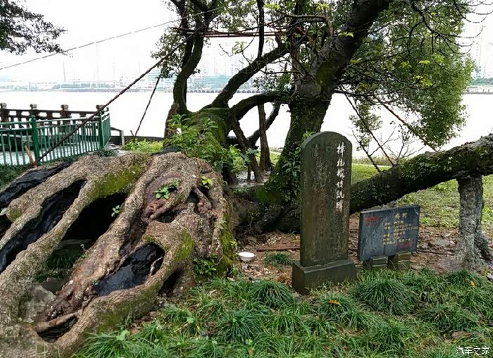 游记人生唯有美食美景不能辜负温州江心屿多图求精