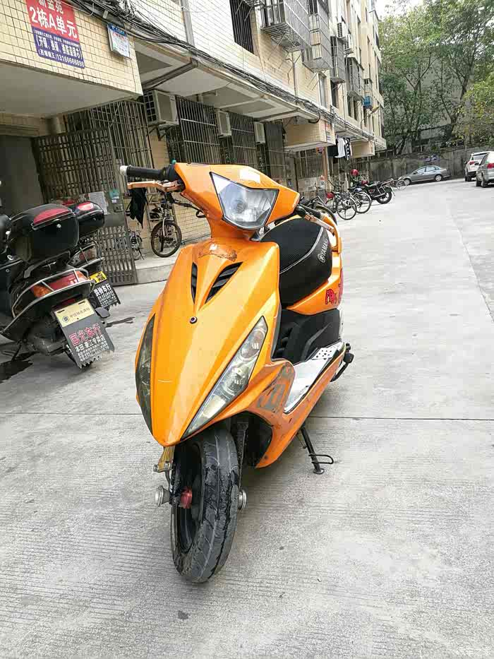 【图】周末带小毛驴遛弯_摩托车论坛_汽车之家论坛