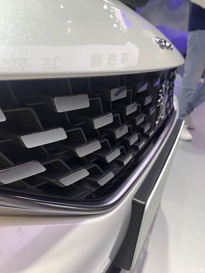 上海车展之参数化格栅图鉴二