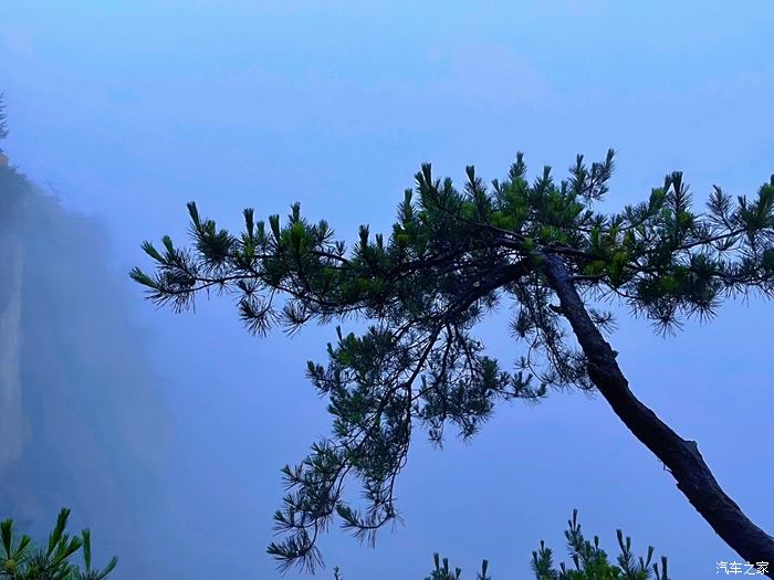 一顆松樹,傲立於這仙氣繚繞的天地間,見證這雲海霧海的悄然流動