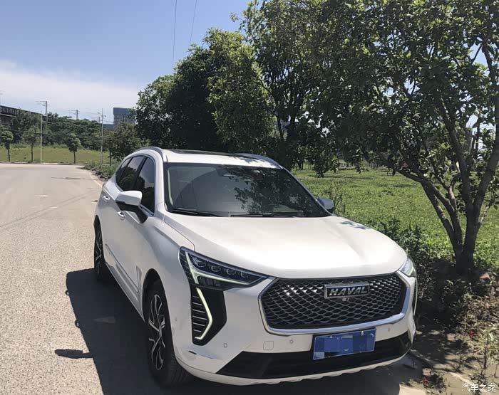 哈弗初恋不能说的秘密