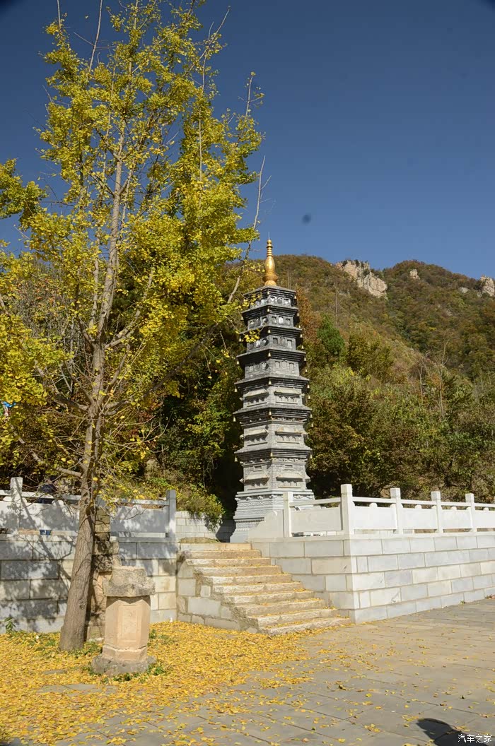 嵩县白河云岩寺更有千年银杏林