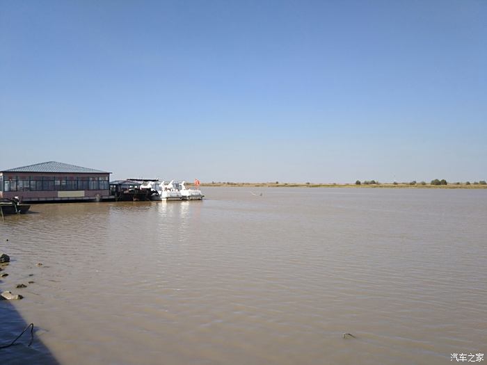 黃河入海口溼地保護區