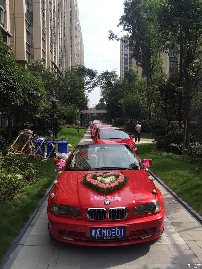 【图】红思组婚车队太拉风了,哈哈_思域论坛_汽车之家论坛