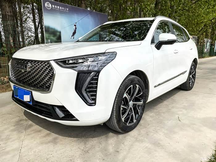 众多车型中选择了你哈弗初恋