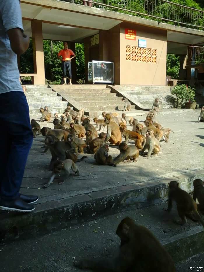 广西龙虎山庄游记