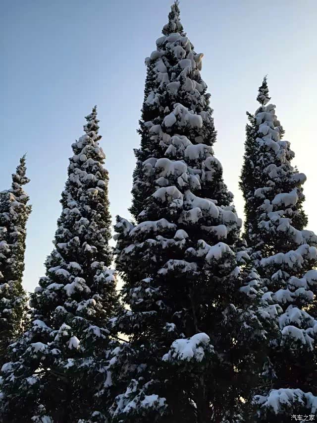 自驾参加哥们婚礼偶遇大雪,顺带就看雪景了