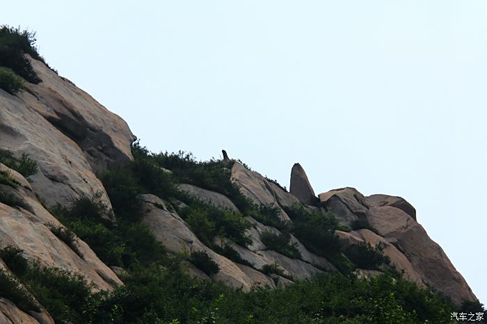 家鄉的美景靈寶娘娘山