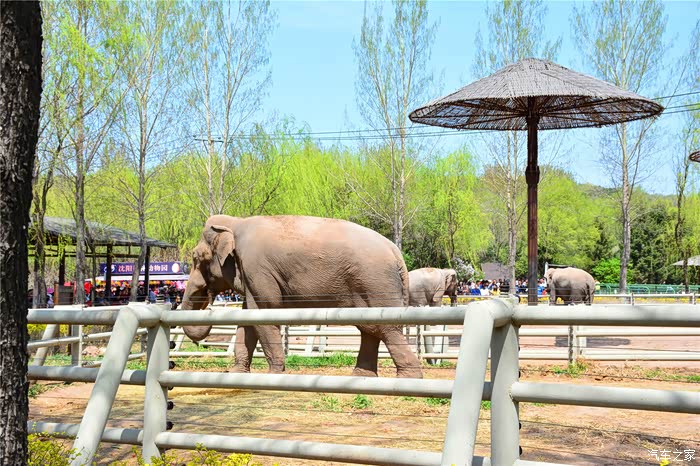 吉林市cs75车友会01075车友结伴游盛京沈阳之森林动物园篇