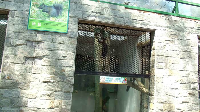 【缤纷夏日】 署假游龙凤山庄