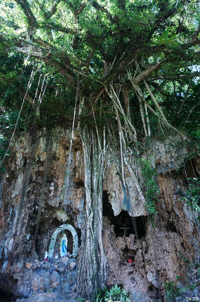 圣母玛丽亚的塑像在一颗大树之下