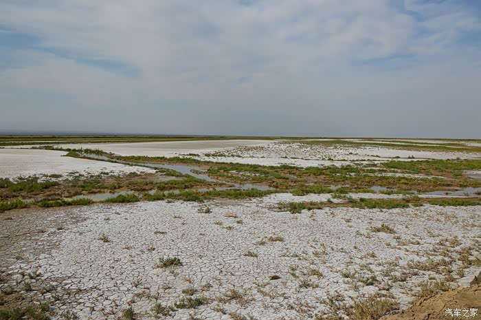艾丁湖盐碱化很严重了.