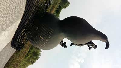 车刚开进来就开见若大的葫芦在那斜卧着 ,真不愧叫葫芦岛.