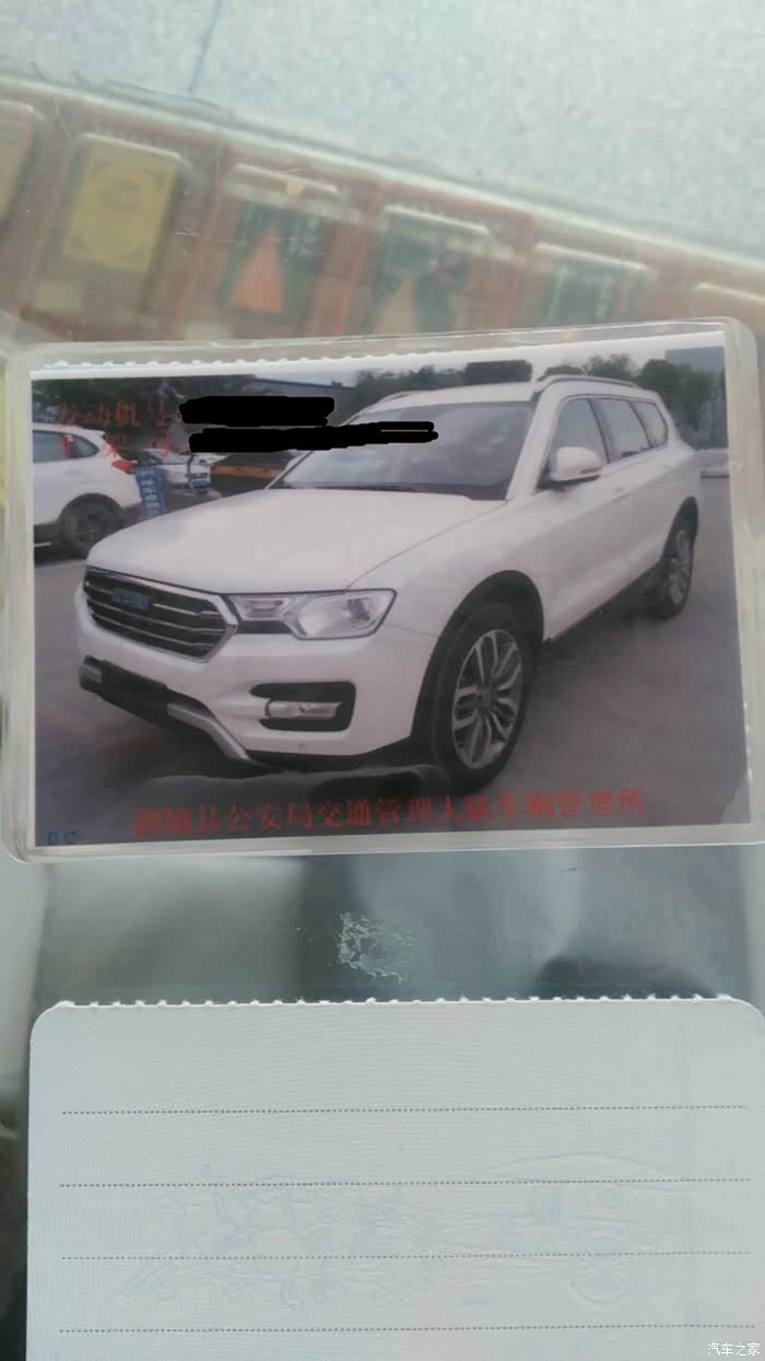 h7l白豪提车一周作业