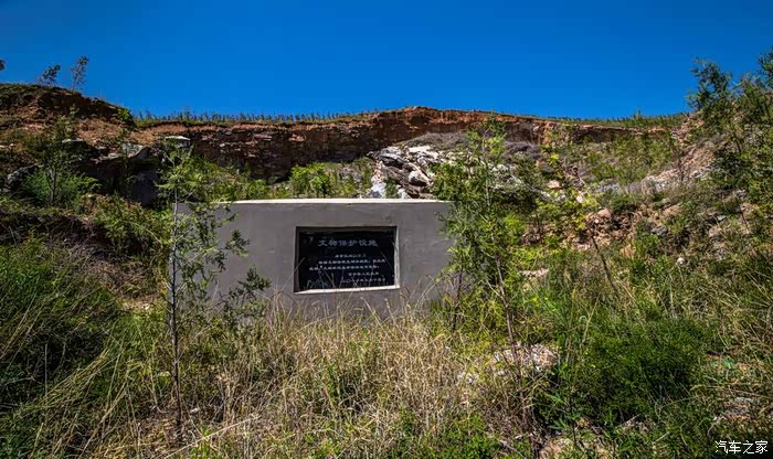 再探富平唐文宗章陵,发现地宫入口
