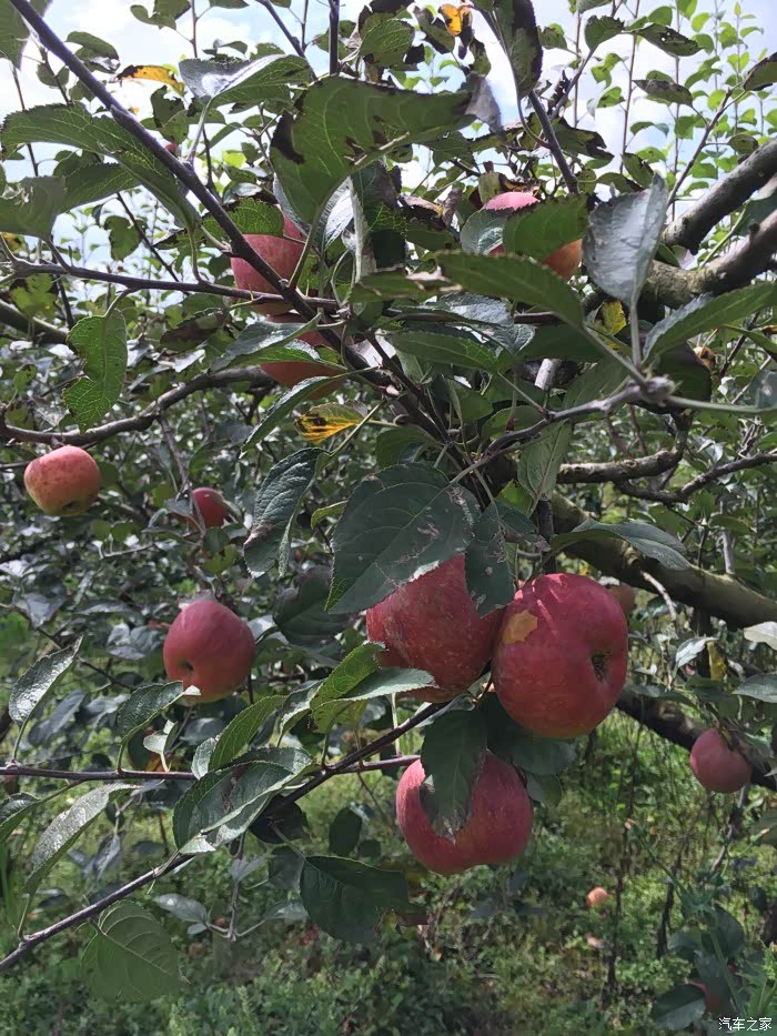 头文字q分分钟教你做人!