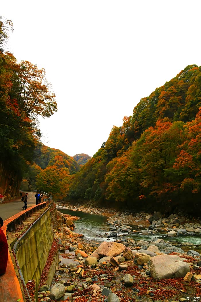 光雾秋韵彩叶舞蹁跹巴中南江光雾山游记