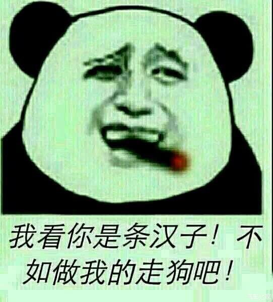 今天又说服一个律师朋友 放弃博瑞 买了迈腾 过程艰难