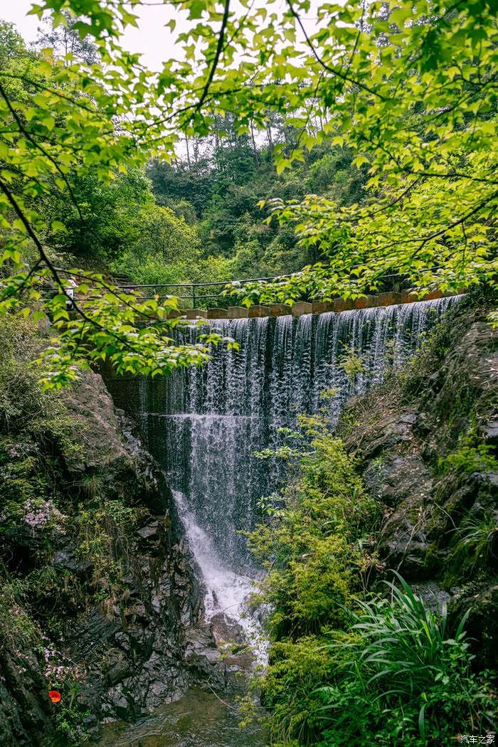 趁着春光正好探索江南第一名山大奇山国家森林公园