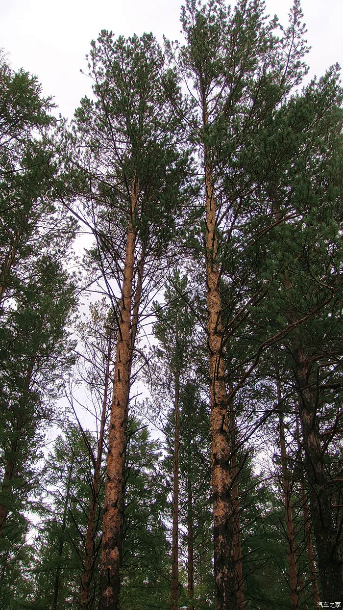 【"闯关东"】东北三省游记 黑龙江篇