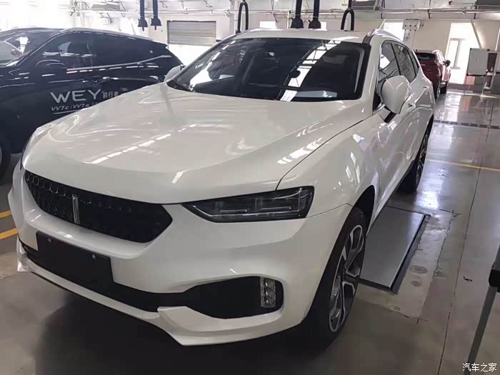 vv7终于看到你啦!