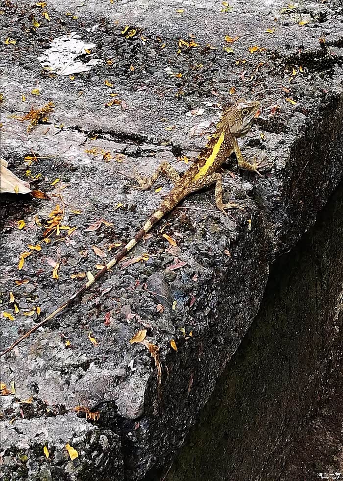 刀锋拍台湾美景