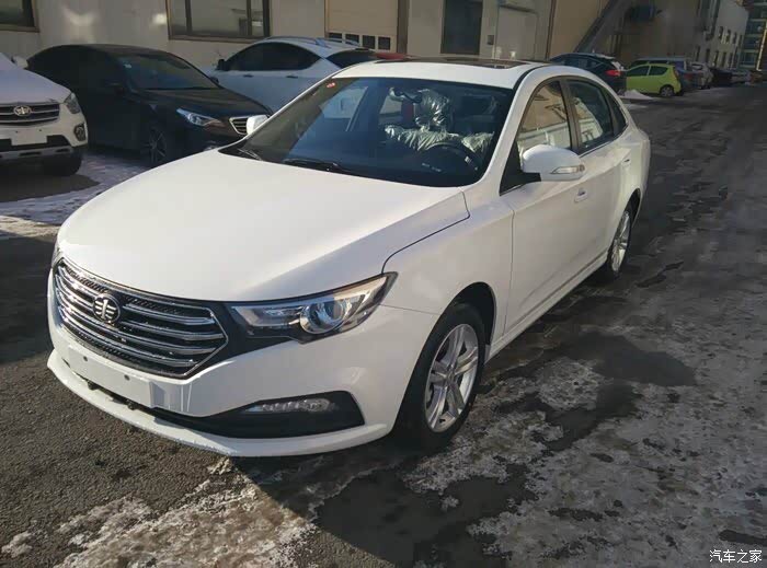 奔腾b30白色帅图汇总