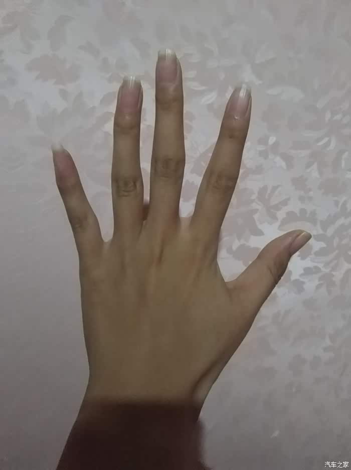 【图】肉肉的手好看还是纤细的好看_北京论坛_汽车之家论坛