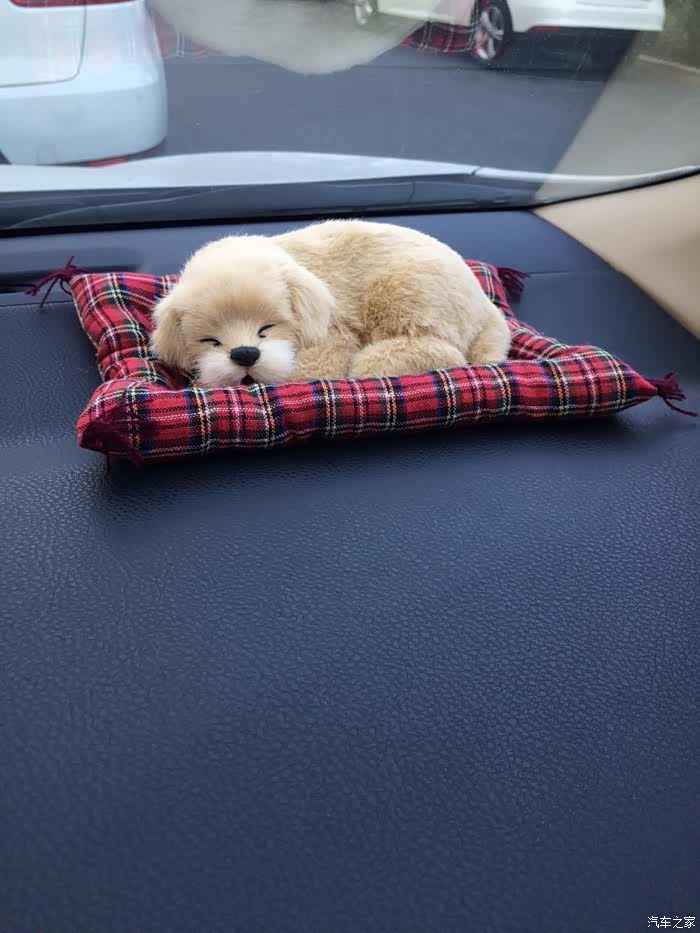 【图】【求精】涅盘重生,患难真情-- 一个不一样的认证贴_卡罗拉论坛