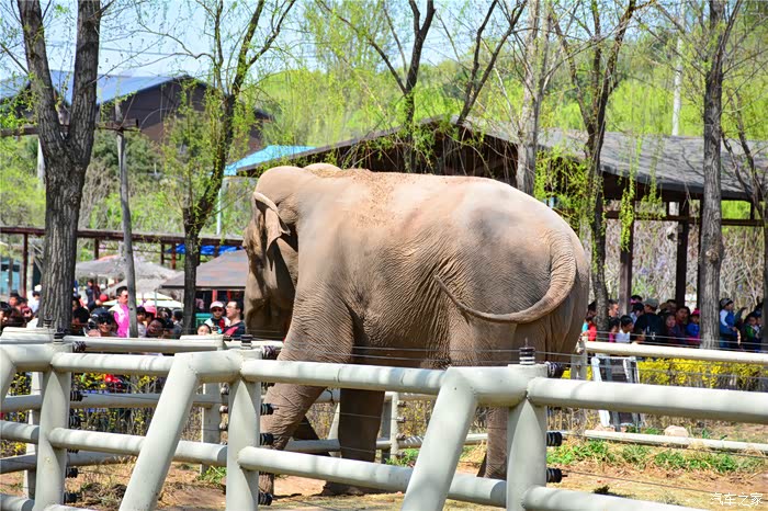 吉林市cs75车友会01075车友结伴游盛京沈阳之森林动物园篇